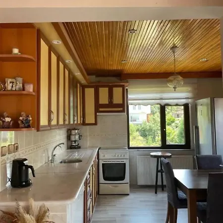 Daire Erdogdu House